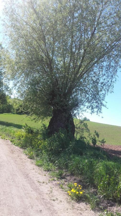 Domek Bialojany Esterno foto