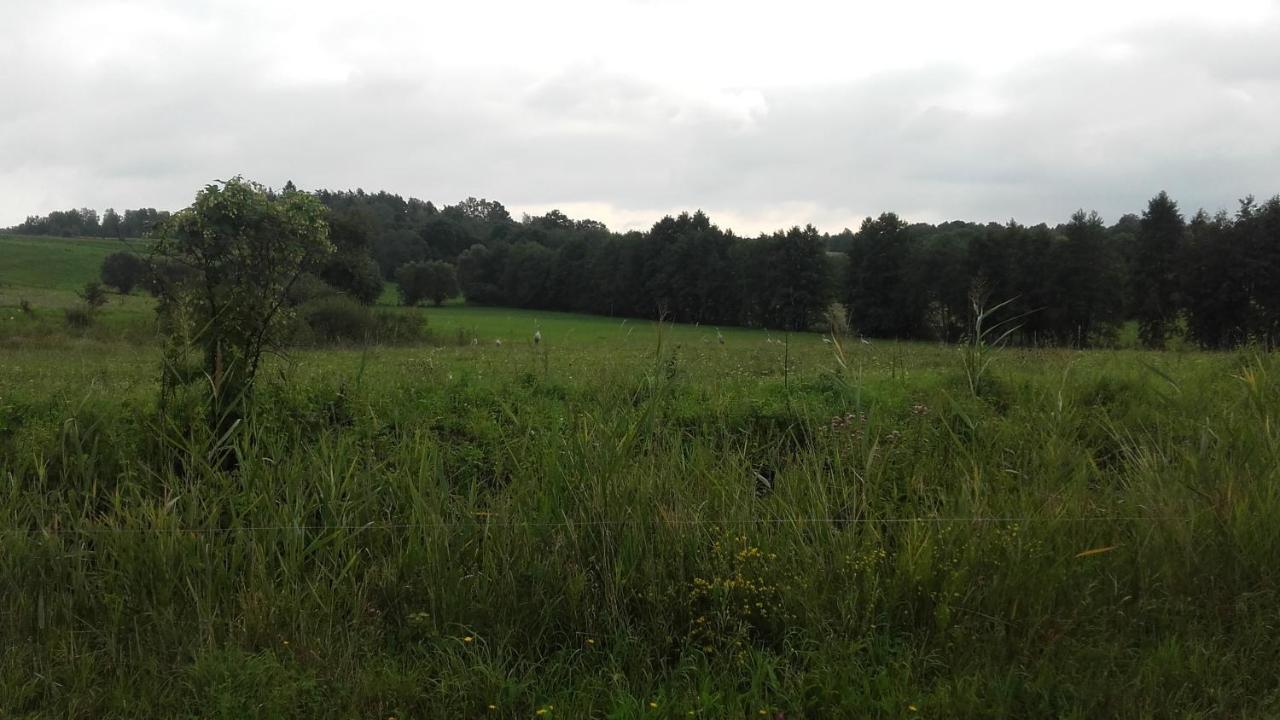 Domek Bialojany Esterno foto